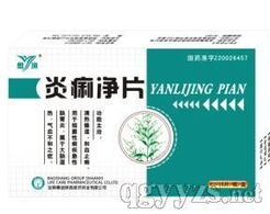 炎痢凈片 傳承中醫(yī)經(jīng)典，助力腸道健康 —— 誠招合伙人